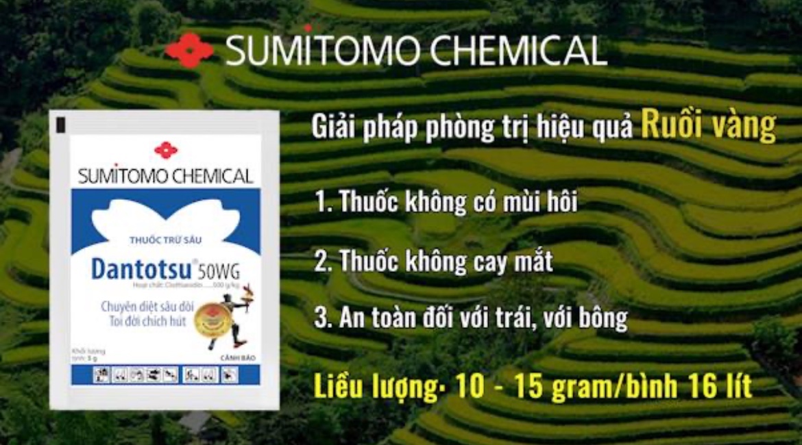 Thuốc trừ sâu Dantotsu 50WG - Gói 5g
